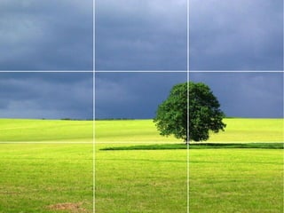 Ecologia di Powerpoint e dei suoi simili