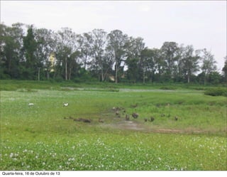 Quarta-feira, 16 de Outubro de 13

 