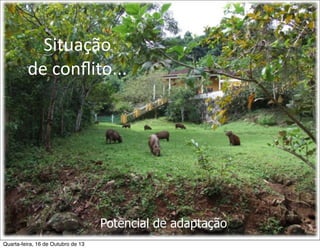 Situação	
  
de	
  conﬂito...

Potencial de adaptação
Quarta-feira, 16 de Outubro de 13

 