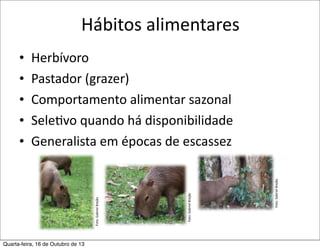 Hábitos	
  alimentares

Quarta-feira, 16 de Outubro de 13

Foto:	
  Gabriel	
  Brejão

Foto:	
  Gabriel	
  Brejão

Herbívoro
Pastador	
  (grazer)
Comportamento	
  alimentar	
  sazonal
SeleFvo	
  quando	
  há	
  disponibilidade
Generalista	
  em	
  épocas	
  de	
  escassez

Foto:	
  Gabriel	
  Brejão

•
•
•
•
•

 