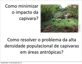 Foto:	
  Gabriel	
  Brejão

Como	
  minimizar	
  
o	
  impacto	
  da	
  
capivara?

Como	
  resolver	
  o	
  problema	
  da	
  alta	
  
densidade	
  populacional	
  de	
  capivaras	
  
em	
  áreas	
  antrópicas?
Quarta-feira, 16 de Outubro de 13

 