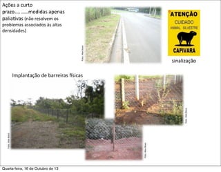 Ações	
  a	
  curto	
  
prazo....	
  .....medidas	
  apenas	
  
paliaFvas	
  (não	
  resolvem	
  os	
  

Foto:	
  Alex	
  Bovo

problemas	
  associados	
  às	
  altas	
  
densidades)

sinalização

Quarta-feira, 16 de Outubro de 13

Foto:	
  Alex	
  Bovo

Foto:	
  Alex	
  Bovo

Foto:	
  Alex	
  Bovo

Implantação	
  de	
  barreiras	
  msicas

 