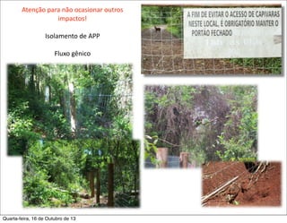 Atenção	
  para	
  não	
  ocasionar	
  outros	
  
impactos!
Isolamento	
  de	
  APP
Fluxo	
  gênico

Quarta-feira, 16 de Outubro de 13

 