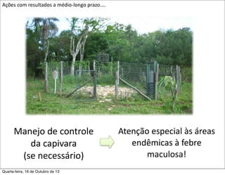 Ações	
  com	
  resultados	
  a	
  médio-­‐longo	
  prazo....

Manejo	
  de	
  controle	
  
da	
  capivara
(se	
  necessário)
Quarta-feira, 16 de Outubro de 13

Atenção	
  especial	
  às	
  áreas	
  
endêmicas	
  à	
  febre	
  
maculosa!

 