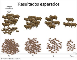 Manejo
reprodutivo

Resultados	
  esperados

tempo

t0
Quarta-feira, 16 de Outubro de 13

t1

t2

T3...n

 
