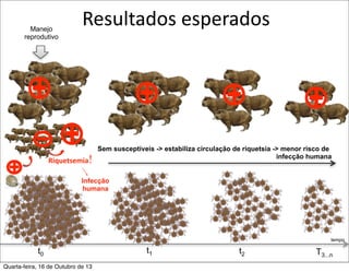 Manejo
reprodutivo

Resultados	
  esperados

Riquetsemia!

Sem susceptíveis -> estabiliza circulação de riquetsia -> menor risco de
infecção humana

Infecção
humana

tempo

t0
Quarta-feira, 16 de Outubro de 13

t1

t2

T3...n

 