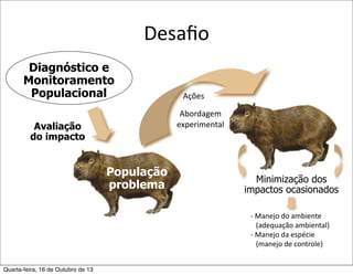 Desaﬁo
Diagnóstico e
Monitoramento
Populacional

Ações
Abordagem	
  
experimental

Avaliação
do impacto

População
problema

Minimização dos
impactos ocasionados
-­‐	
  Manejo	
  do	
  ambiente	
  
	
  	
  	
  (adequação	
  ambiental)
-­‐	
  Manejo	
  da	
  espécie
	
  	
  	
  (manejo	
  de	
  controle)

Quarta-feira, 16 de Outubro de 13

 