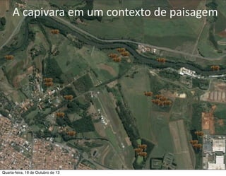 A	
  capivara	
  em	
  um	
  contexto	
  de	
  paisagem

Quarta-feira, 16 de Outubro de 13

 