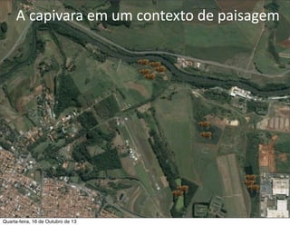 A	
  capivara	
  em	
  um	
  contexto	
  de	
  paisagem

Quarta-feira, 16 de Outubro de 13

 