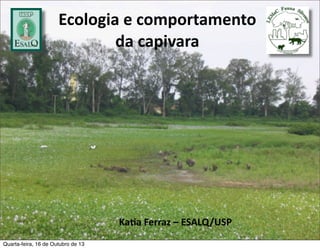 Ecologia	
  e	
  comportamento	
  	
  	
  	
  	
  	
  	
  	
  	
  
da	
  capivara

Ka#a	
  Ferraz	
  –	
  ESALQ/USP
Quarta-feira, 16 de Outubro de 13

 