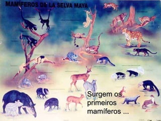Surgem os primeiros  mamíferos ... 
