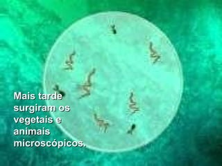 Mais tarde  surgiram os vegetais e  animais  microscópicos. 