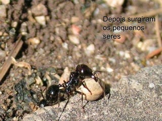 Depois surgiram  os pequenos  seres 