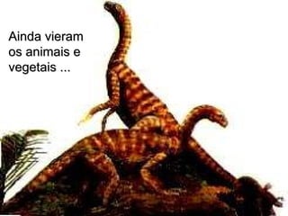 Ainda vieram os animais e  vegetais ... 