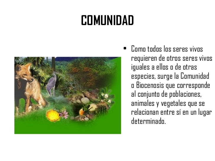 Ecologia elemental