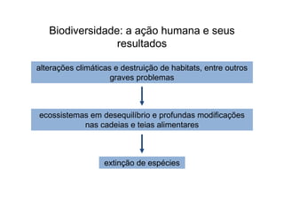 Biodiversidade: a ação humana e seus
                 resultados

alterações climáticas e destruição de habitats, entre outros
                     graves problemas



ecossistemas em desequilíbrio e profundas modificações
           nas cadeias e teias alimentares



                   extinção de espécies
 
