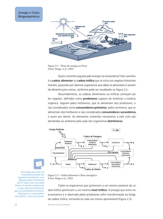 22 Catarina da Silva Pedrozo
Energia e Ciclos
Biogeoquímicos

Figura 2.1 – Fluxo de energia na Terra
Fonte: Braga, et al., 2002.
Qual o caminho seguido pela energia no ecossistema? Este caminho
é a cadeia alimentar ou cadeia trófica que se inicia nos vegetais fotossinte-
tizantes, passando por diversos organismos que deles se alimentam e servem
de alimento para outros, conforme pode ser visualizado na Figura 2.2.
Resumidamente, as cadeias alimentares ou tróficas começam pe-
los vegetais, definidos como produtores capazes de sintetizar a matéria
orgânica. Seguem pelos herbívoros, que se alimentam dos produtores, e
são considerados como consumidores primários; pelos carnívoros, que se
alimentam dos herbívoros e são considerados consumidores secundários,
e assim por diante. Os elementos nutrientes necessários a este ciclo são
devolvidos ao ambiente pela ação dos organismos detritívoros.
Figura 2.2 – Cadeia alimentar e fluxo energético
Fonte: Braga et al., 2002.
Todos os organismos que pertencem a um mesmo patamar da ca-
deia trófica pertencem a um mesmo nível trófico. A energia que entra no
ecossistema e é absorvida pelos produtores sofre transformação ao longo
da cadeia trófica, tornando-se cada vez menos aproveitável (Figura 2.3).
Da energia que entra nos
ecossistemas através dos
organismos produtores, uma
pequena parte é transferida
de um nível a outro da cadeia
trófica e é sempre unidirecional,
ou seja, passa dos produtores
para os consumidores primários,
destes para os consumidores
secundários, e assim por diante.
 