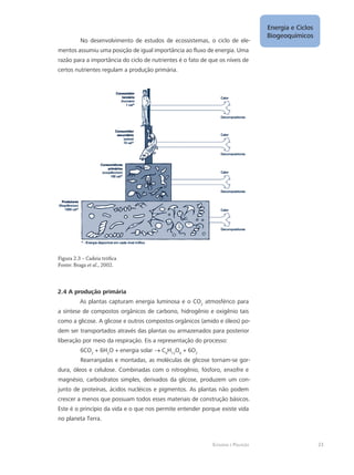 Energia e Ciclos
Biogeoquímicos
23Ecologia e Poluição
No desenvolvimento de estudos de ecossistemas, o ciclo de ele-
mentos assumiu uma posição de igual importância ao fluxo de energia. Uma
razão para a importância do ciclo de nutrientes é o fato de que os níveis de
certos nutrientes regulam a produção primária.
Figura 2.3 – Cadeia trófica
Fonte: Braga et al., 2002.
2.4 A produção primária
As plantas capturam energia luminosa e o CO2
atmosférico para
a síntese de compostos orgânicos de carbono, hidrogênio e oxigênio tais
como a glicose. A glicose e outros compostos orgânicos (amido e óleos) po-
dem ser transportados através das plantas ou armazenados para posterior
liberação por meio da respiração. Eis a representação do processo:
6CO2
+ 6H2
O + energia solar → C6
H12
O6
+ 6O2
Rearranjadas e montadas, as moléculas de glicose tornam-se gor-
dura, óleos e celulose. Combinadas com o nitrogênio, fósforo, enxofre e
magnésio, carboidratos simples, derivados da glicose, produzem um con-
junto de proteínas, ácidos nucléicos e pigmentos. As plantas não podem
crescer a menos que possuam todos esses materiais de construção básicos.
Este é o princípio da vida e o que nos permite entender porque existe vida
no planeta Terra.
 