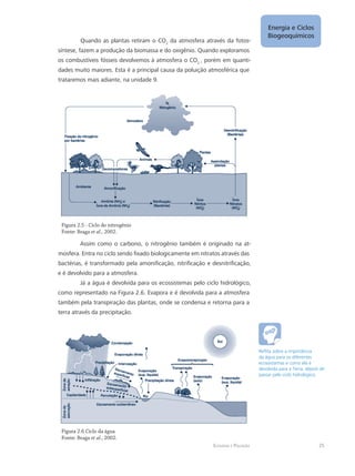 Ecologia e Poluição
Energia e Ciclos
Biogeoquímicos
25
Quando as plantas retiram o CO2
da atmosfera através da fotos-
síntese, fazem a produção da biomassa e do oxigênio. Quando exploramos
os combustíveis fósseis devolvemos à atmosfera o CO2
, porém em quanti-
dades muito maiores. Esta é a principal causa da poluição atmosférica que
trataremos mais adiante, na unidade 9.
Figura 2.5 - Ciclo do nitrogênio
Fonte: Braga et al., 2002.
Assim como o carbono, o nitrogênio também é originado na at-
mosfera. Entra no ciclo sendo fixado biologicamente em nitratos através das
bactérias, é transformado pela amonificação, nitrificação e desnitrificação,
e é devolvido para a atmosfera.
Já a água é devolvida para os ecossistemas pelo ciclo hidrológico,
como representado na Figura 2.6. Evapora e é devolvida para a atmosfera
também pela transpiração das plantas, onde se condensa e retorna para a
terra através da precipitação.
Figura 2.6 Ciclo da água
Fonte: Braga et al., 2002.
Reflita sobre a importância
da água para os diferentes
ecossistemas e como ela é
devolvida para a Terra, depois de
passar pelo ciclo hidrológico.
 