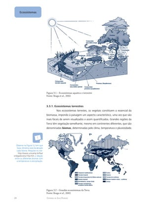 28 Catarina da Silva Pedrozo
Ecossistemas
Figura 3.1 – Ecossistemas aquático e terrestre
Fonte: Braga et al., 2002.
3.3.1. Ecossistemas terrestres
Nos ecossistemas terrestes, os vegetais constituem o essencial da
biomassa, impondo à paisagem um aspecto característico, uma vez que são
mais fáceis de serem visualizados e assim quantificados. Grandes regiões da
Terra têm vegetação semelhante, mesmo em continentes diferentes, que são
denominadas biomas, determinadas pelo clima, temperatura e pluviosidade.
Figura 3.2 – Grandes ecossistemas da Terra
Fonte: Braga et al., 2002.
Observe na Figura 3.2 em que
faixa climática está localizado
cada bioma. Pesquise no site:
http://www.unicamp.br/fea/
ortega/eco/iuri10a.htm a relação
entre os diferentes biomas com
a temperatura e precipitação.
 