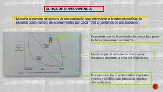  Muestra el numero de sujetos de una población que sobreviven a la edad especifica; se
expresa como numero de sobrevivientes por cada 1000 organismos de una población.
CURVA DE SUPERVIVENCIA
Característica de la población humana hay pocos
factores que causen su muerte.
Muestra que el numero de muertes es
constante durante la vida del organismo.
Es común en los invertebrados, vegetales
y peces y anfibios que producen muchos
descendientes.
 
