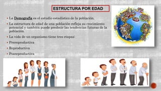  La Demografía es el estudio estadístico de la población.
 La estructura de edad de una población refleja su crecimiento
potencial y también puede predecir las tendencias futuras de la
población.
 La vida de un organismo tiene tres etapas:
 Prereproductiva
 Reproductiva
 Posreproductiva
ESTRUCTURA POR EDAD
 