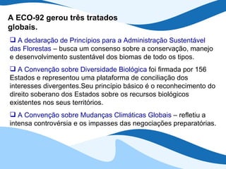 A ECO-92 gerou três tratados globais. A declaração de Princípios para a Administração Sustentável das Florestas  – busca um consenso sobre a conservação, manejo e desenvolvimento sustentável dos biomas de todo os tipos. A Convenção sobre Diversidade Biológica  foi firmada por 156 Estados e representou uma plataforma de conciliação dos interesses divergentes.Seu princípio básico é o reconhecimento do direito soberano dos Estados sobre os recursos biológicos existentes nos seus territórios. A Convenção sobre Mudanças Climáticas Globais  – refletiu a intensa controvérsia e os impasses das negociações preparatórias. 
