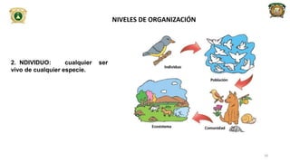 2. NDIVIDUO: cualquier ser
vivo de cualquier especie.
NIVELES DE ORGANIZACIÓN
18
 