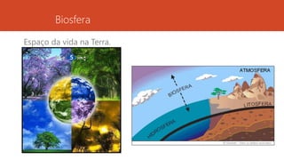 Biosfera
Espaço da vida na Terra.
 