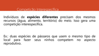 Competição Interespecífica
Indivíduos de espécies diferentes precisam dos mesmos
recursos (água, alimento, território) do meio. Isso gera uma
competição interespecífica.
Ex.: duas espécies de pássaros que usem o mesmo tipo de
local para fazer seus ninhos competem no aspecto
reprodutivo.
 