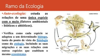Ramo da Ecologia
•Auto-ecologia: estuda as
relações de uma única espécie
com o meio (fatores ambientais
- bióticos e abióticos).
• Verifica como cada espécie se
adaptou a um determinado biótopo,
tanto do ponto de vista da fisiologia
como da etologia, incluindo as suas
migrações e as suas relações com
outras espécies que coabitam o
mesmo ecossistema.
 