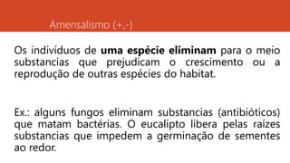 Amensalismo (+,-)
Os indivíduos de uma espécie eliminam para o meio
substancias que prejudicam o crescimento ou a
reprodução de outras espécies do habitat.
Ex.: alguns fungos eliminam substancias (antibióticos)
que matam bactérias. O eucalipto libera pelas raízes
substancias que impedem a germinação de sementes
ao redor.
 
