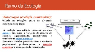 •Sinecologia (ecologia comunitária):
estuda as relações entre as diversas
espécies e seu meio.
•A ecologia comunitária moderna examina
padrões tais como a variação de riqueza de
espécies, equitabilidade, produtividade e
estrutura da cadeia alimentar;
Eexamina também processos como a dinâmica
populacional, predador-presa, a sucessão
ecológica e a organização da comunidade.
Ramo da Ecologia
 