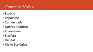 Conceitos Básicos
• Espécie
• População
• Comunidade
• Fatores Abióticos
• Ecossistema
• Biosfera
• Hábitat
• Nicho Ecológico
 