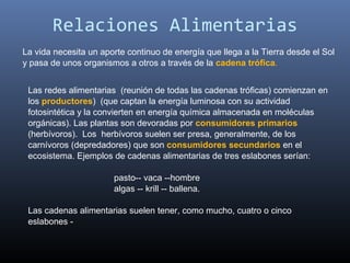 Relaciones Alimentarias
La vida necesita un aporte continuo de energía que llega a la Tierra desde el Sol
y pasa de unos organismos a otros a través de la cadena trófica.


 Las redes alimentarias (reunión de todas las cadenas tróficas) comienzan en
 los productores) (que captan la energía luminosa con su actividad
 fotosintética y la convierten en energía química almacenada en moléculas
 orgánicas). Las plantas son devoradas por consumidores primarios
 (herbívoros). Los herbívoros suelen ser presa, generalmente, de los
 carnívoros (depredadores) que son consumidores secundarios en el
 ecosistema. Ejemplos de cadenas alimentarias de tres eslabones serían:

                       pasto-- vaca --hombre
                       algas -- krill -- ballena.

 Las cadenas alimentarias suelen tener, como mucho, cuatro o cinco
 eslabones -
 