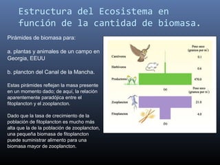 Estructura del Ecosistema en
     función de la cantidad de biomasa.
Pirámides de biomasa para:

a. plantas y animales de un campo en
Georgia, EEUU

b. plancton del Canal de la Mancha.

Estas pirámides reflejan la masa presente
en un momento dado; de aquí, la relación
aparentemente paradójica entre el
fitoplancton y el zooplancton.

Dado que la tasa de crecimiento de la
población de fitoplancton es mucho más
alta que la de la población de zooplancton,
una pequeña biomasa de fitoplancton
puede suministrar alimento para una
biomasa mayor de zooplancton.
 
