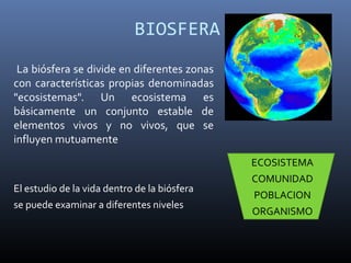 BIOSFERA
 La biósfera se divide en diferentes zonas
con características propias denominadas
"ecosistemas". Un ecosistema es
básicamente un conjunto estable de
elementos vivos y no vivos, que se
influyen mutuamente
                                              ECOSISTEMA
                                              COMUNIDAD
El estudio de la vida dentro de la biósfera
                                              POBLACION
se puede examinar a diferentes niveles
                                              ORGANISMO
 