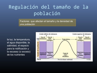 Regulación del tamaño de la
          población
            Factores que afectan el tamaño y la densidad de
            una población




la luz, la temperatura,
el agua disponible, la
salinidad, el espacio
para la nidificación y
la escasez (o exceso)
de los nutrientes
 