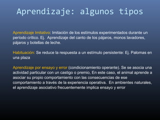 Aprendizaje: algunos tipos

Aprendizaje Imitativo: Imitación de los estímulos experimentados durante un 
período crítico. Ej.  Aprendizaje del canto de los pájaros, monos lavadores, 
pájaros y botellas de leche.

Habituación: Se reduce la respuesta a un estímulo persistente: Ej. Palomas en 
una plaza 

Aprendizaje por ensayo y error (condicionamiento operante). Se se asocia una 
actividad particular con un castigo o premio, En este caso, el animal aprende a 
asociar su propio comportamiento con las consecuencias de ese 
comportamiento a través de la experiencia operativa.  En ambientes naturales, 
el aprendizaje asociativo frecuentemente implica ensayo y error
 