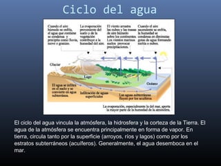 Ciclo del agua




El ciclo del agua vincula la atmósfera, la hidrosfera y la corteza de la Tierra. El
agua de la atmósfera se encuentra principalmente en forma de vapor. En
tierra, circula tanto por la superficie (arroyos, ríos y lagos) como por los
estratos subterráneos (acuíferos). Generalmente, el agua desemboca en el
mar.
 