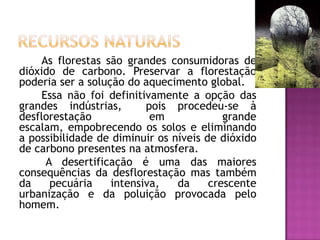 As florestas são grandes consumidoras de
dióxido de carbono. Preservar a florestação
poderia ser a solução do aquecimento ...