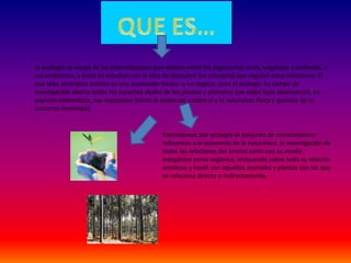 La ecología se ocupa de las interrelaciones que existen entre los organismos vivos, vegetales o animales, y
sus ambientes, y éstos se estudian con la idea de descubrir los principios que regulan estas relaciones. El
que tales principios existen es una suposición básica -y un dogma- para el ecólogo. Su campo de
investigación abarca todos los aspectos vitales de las plantas y animales que están bajo observación, su
posición sistemática, sus reacciones frente al ambiente y entre sí y la naturaleza física y química de su
contorno inanimado
Entendemos por ecología el conjunto de conocimientos
referentes a la economía de la naturaleza, la investigación de
todas las relaciones del animal tanto con su medio
inorgánico como orgánico, incluyendo sobre todo su relación
amistosa y hostil con aquellos animales y plantas con los que
se relaciona directa o indirectamente.
 