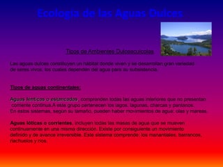 Ecología de las Aguas Dulces
Tipos de Ambientes Dulceacuícolas
Las aguas dulces constituyen un hábitat donde viven y se desarrollan gran variedad
de seres vivos, los cuales dependen del agua para su subsistencia.
Tipos de aguas continentales:
Aguas lénticas o estancadas, comprenden todas las aguas interiores que no presentan
corriente continua.A este grupo pertenecen los lagos, lagunas, charcas y pantanos.
En estos sistemas, según su tamaño, pueden haber movimientos de agua: olas y mareas.
Aguas lóticas o corrientes, incluyen todas las masas de agua que se mueven
continuamente en una misma dirección. Existe por consiguiente un movimiento
definido y de avance irreversible. Este sistema comprende: los manantiales, barrancos,
riachuelos y ríos.
 