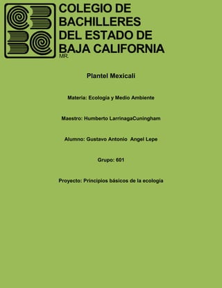 Plantel Mexicali


   Materia: Ecología y Medio Ambiente



 Maestro: Humberto LarrinagaCuningham



  Alumno: Gustavo Antonio Angel Lepe



                Grupo: 601



Proyecto: Principios básicos de la ecología
 