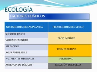 ECOLOGÍA
FACTORES EDÁFICOS
NECESIDADES DE LAS PLANTAS PROPIEDADES DEL SUELO
SOPORTE FÍSICO
PROFUNDIDAD
VOLUMEN MÍNIMO
AIREACIÓN
PERMEABILIDAD
AGUA ABSORBIBLE
NUTRIENTES MINERALES FERTILIDAD
AUSENCIA DE TÓXICOS REACCIÓN DEL SUELO
 