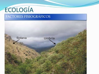 ECOLOGÍA
FACTORES FISIOGRÁFICOS
 