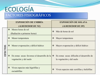 ECOLOGÍA
FACTORES FISIOGRÁFICOS
EXPOSICIÓN DE UMBRÍA
(ALREDEDOR DE NE)
EXPOSICIÓN DE SOLANA
(ALREDEDOR DE SW)
EFECTOS
 Menos horas de sol
(Radiación a primeras horas)
 Más de horas de sol
 Menor temperatura  Mayor temperatura
 Menor evaporación y déficit hídrico  Mayor evaporación y déficit hídrico
 En zonas secas: favorece el desarrollo de la
vegetación y del suelo
 En zonas secas: dificulta el desarrollo de
la vegetación y del suelo
 Viven especies más higrófilas y
esciadófilas
 Viven especies más xerófilas y heliófilas
 