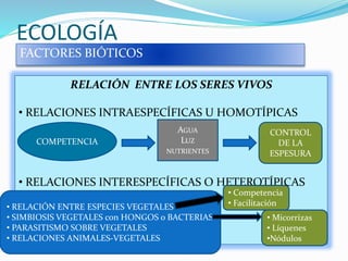 ECOLOGÍA
FACTORES BIÓTICOS
RELACIÓN ENTRE LOS SERES VIVOS
• RELACIONES INTRAESPECÍFICAS U HOMOTÍPICAS
• RELACIONES INTERESPECÍFICAS O HETEROTÍPICAS
COMPETENCIA
AGUA
LUZ
NUTRIENTES
CONTROL
DE LA
ESPESURA
• RELACIÓN ENTRE ESPECIES VEGETALES
• SIMBIOSIS VEGETALES con HONGOS o BACTERIAS
• PARASITISMO SOBRE VEGETALES
• RELACIONES ANIMALES-VEGETALES
• Competencia
• Facilitación
• Micorrizas
• Líquenes
•Nódulos
 