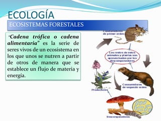 ECOLOGÍA
ECOSISTEMAS FORESTALES
“Cadena trófica o cadena
alimentaria” es la serie de
seres vivos de un ecosistema en
los que unos se nutren a partir
de otros de manera que se
establece un flujo de materia y
energía.
 