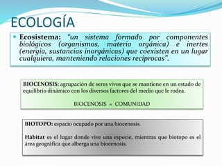 ECOLOGÍA
 Ecosistema: “un sistema formado por componentes
biológicos (organismos, materia orgánica) e inertes
(energía, sustancias inorgánicas) que coexisten en un lugar
cualquiera, manteniendo relaciones recíprocas”.
BIOCENOSIS: agrupación de seres vivos que se mantiene en un estado de
equilibrio dinámico con los diversos factores del medio que le rodea.
BIOCENOSIS = COMUNIDAD
BIOTOPO: espacio ocupado por una biocenosis.
Hábitat es el lugar donde vive una especie, mientras que biotopo es el
área geográfica que alberga una biocenosis.
 